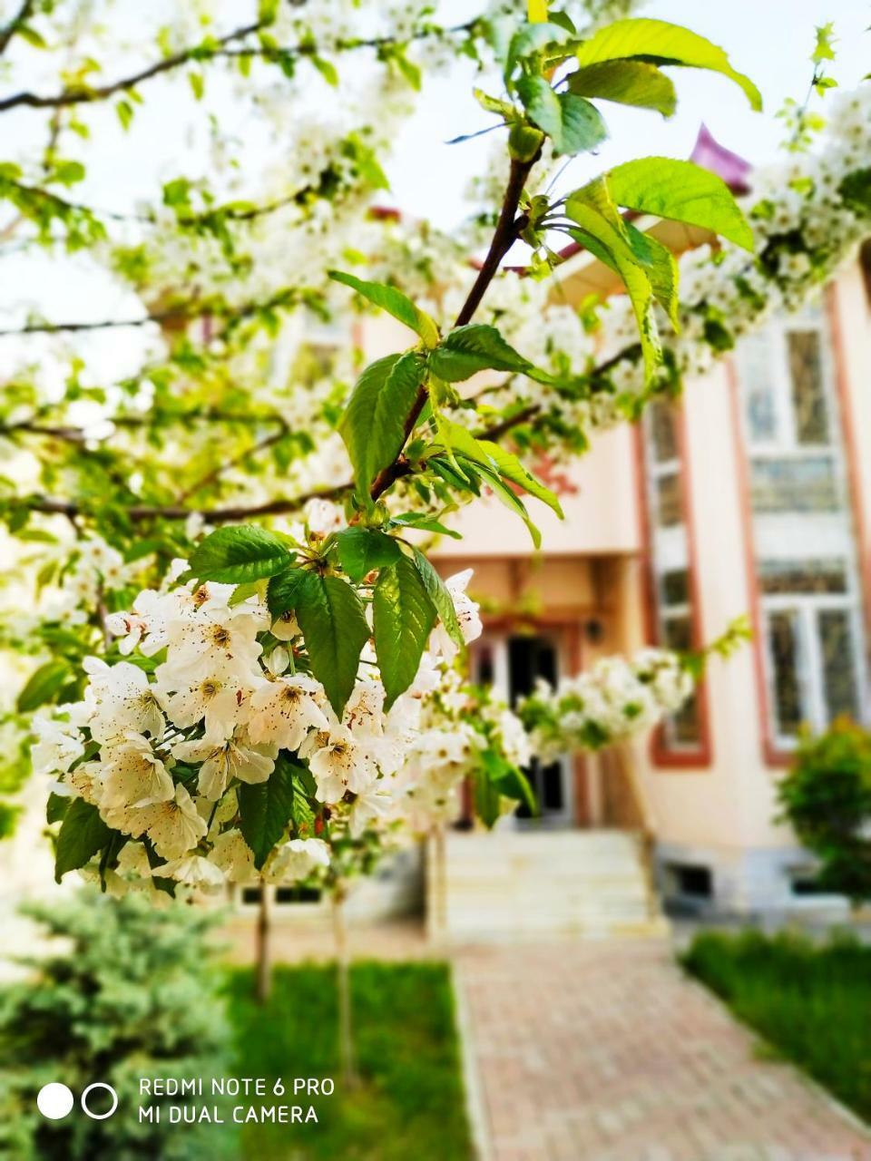 Rakat Inn Navigator Tashkent Exterior photo